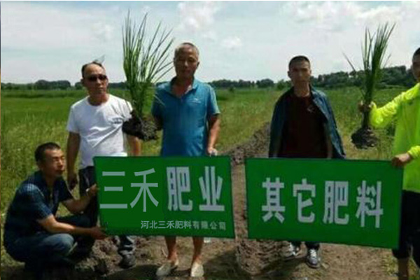 邢台优良小麦返青肥公司